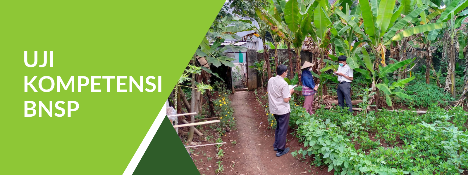 Pelatihan pertanian organik indonesia oleh iskol