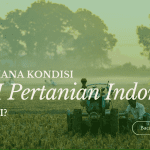 Strategi Pengembangan SDM Pertanian Melalui Program Pelatihan  ditengah Tantangan Pasar dan Regenerasi Petani