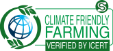 Logo CFF verified rev00